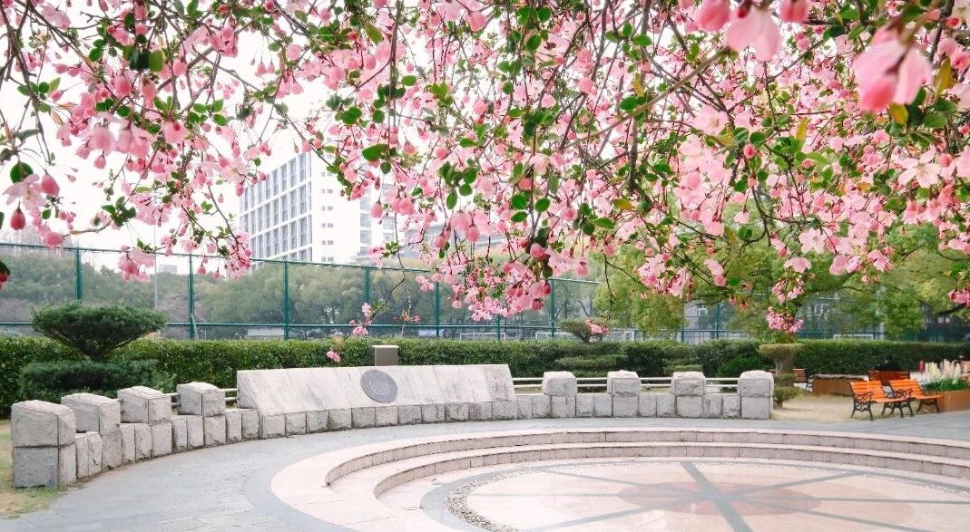 【微言教育】以AI赋能教育，同济大学这样打造人才培养新范式