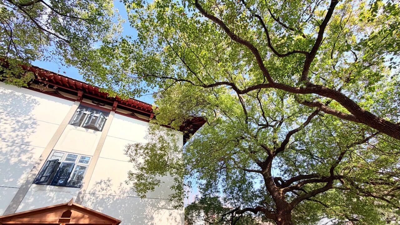 生生不息！同济，向“绿”而行！