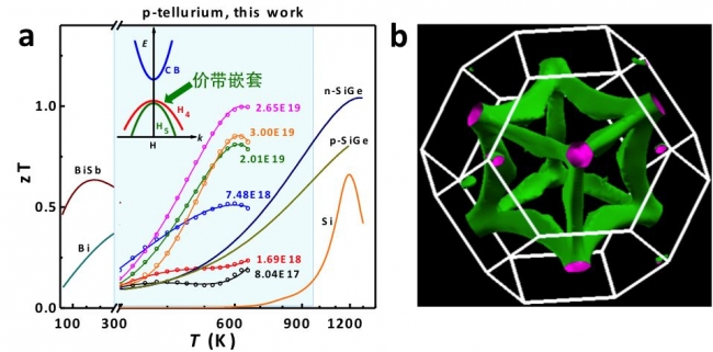 图1_副本 图1_副本