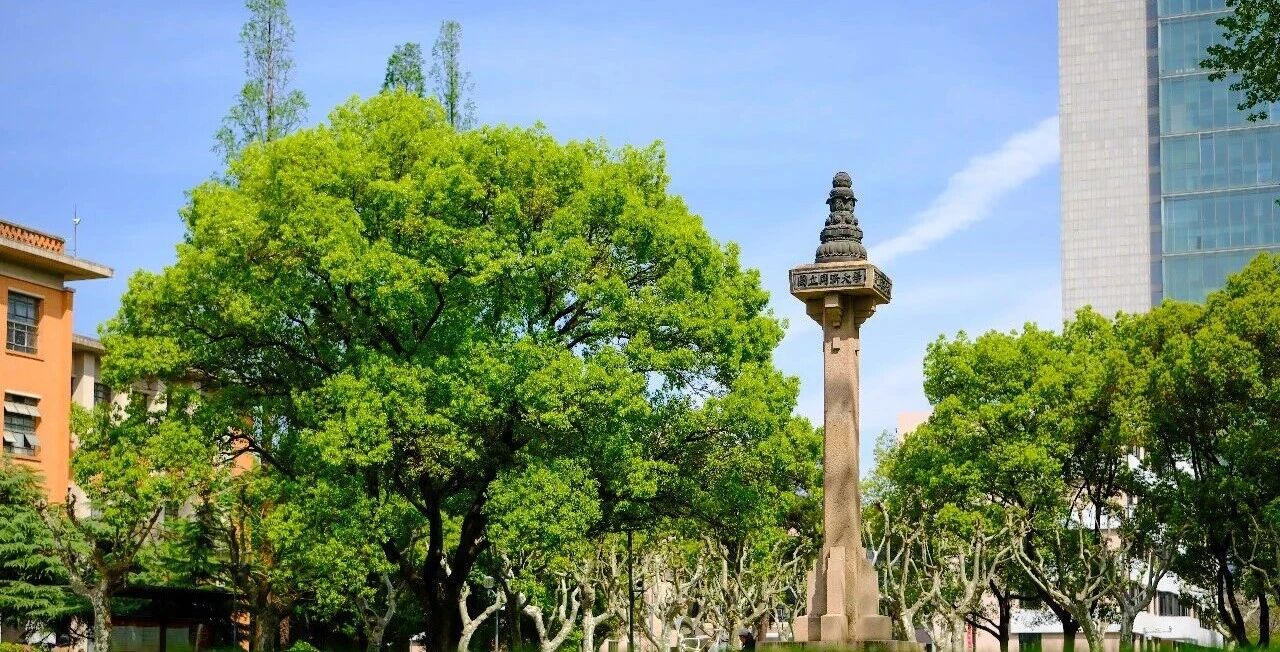 同济大学强基计划连续三届，转入研究生阶段的学生百分之百直博