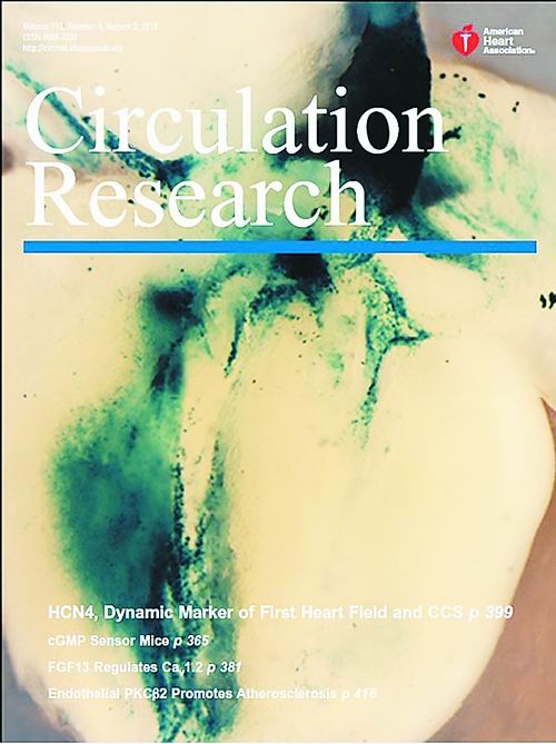 中国科学报-心脏第一心区标志物