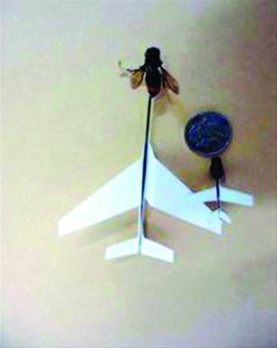 苍蝇飞机