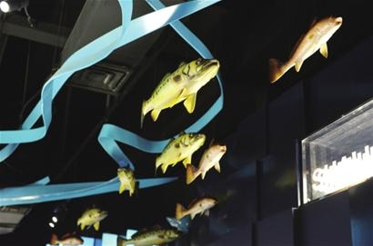 I时代报--深海馆