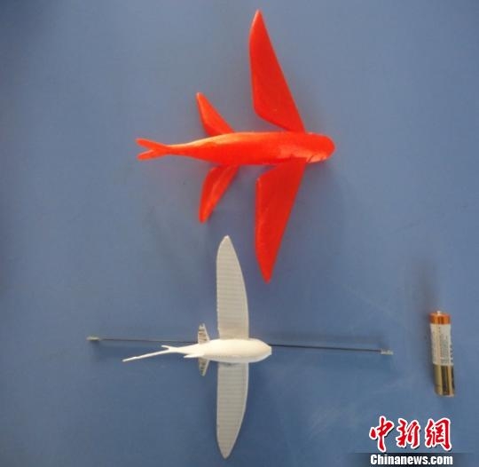 飞鱼模型