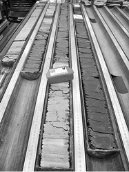 文汇报科学发现照