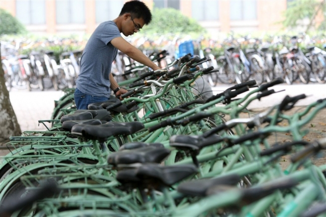 上海日报--自行车