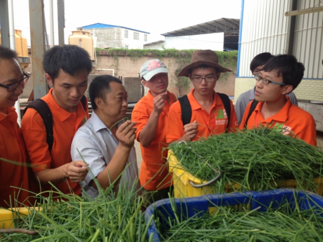 大公报--点赞家乡发展