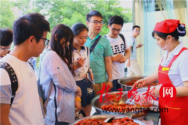 扬子晚报1 扬子晚报1