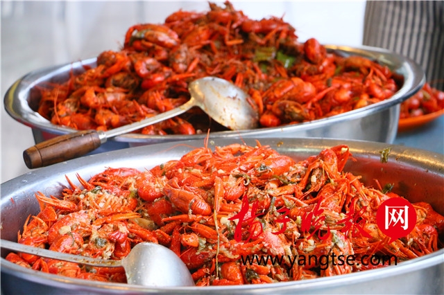 扬子晚报2 扬子晚报2