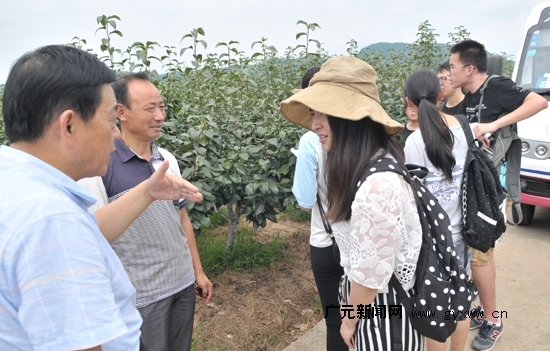 广元新闻网2 广元新闻网2