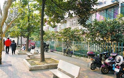 解放日报--政通路变身