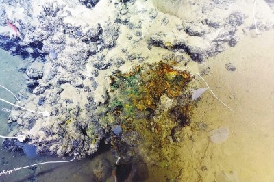 文汇报--海底古热液烟囱